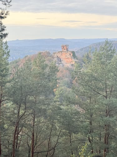 Zum Drachenfels und Heidenberg