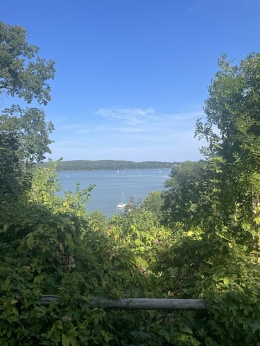 Zwischen Pfaueninsel und Schafersberg