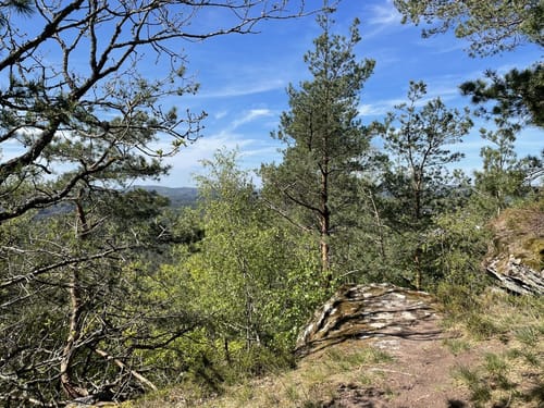 Burgruine Lemberg