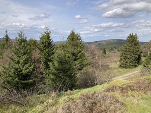 Hoppecke Quelle - Neuer Clemensberg
