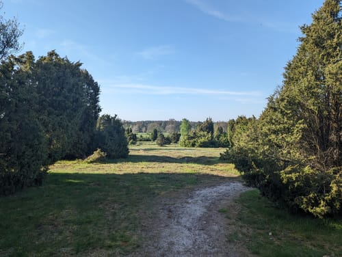 Undeloh Rundweg