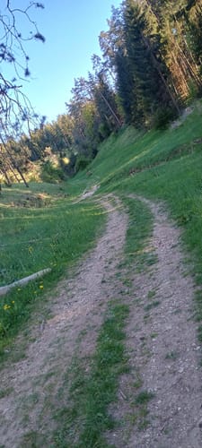 Oberleinleiter: Großer Tümmler und Heroldsstein