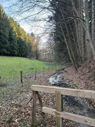 Von Altenberg nach Scheuren