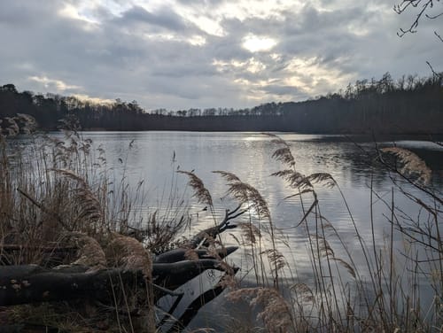 Hellsee und Plötzensee Rundweg