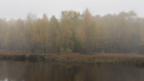 Kaskadenschlucht und Rotes Moor ab Sandberg