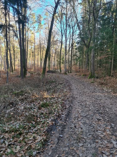 Romantische Straße Etappe 9: Schillingsfürst - Feuchtwangen