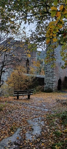 Rund um Lambrecht