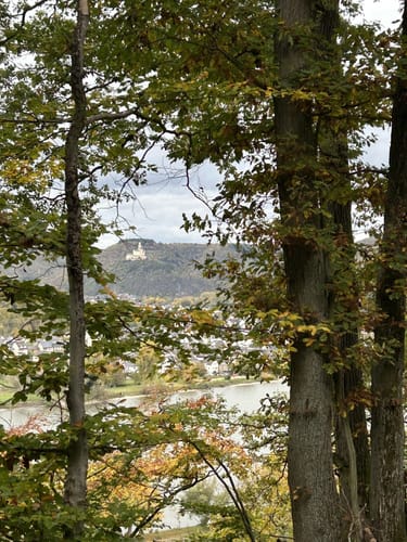 Rheinsteig Etappe 12: Braubach - Kamp-Bornhofen