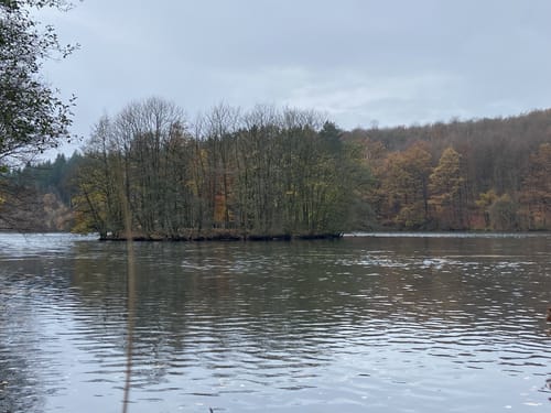Waldsofa-Wanderweg Wilbergerhütte