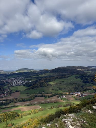 Löwenpfad Messelbergtour (traumtour)