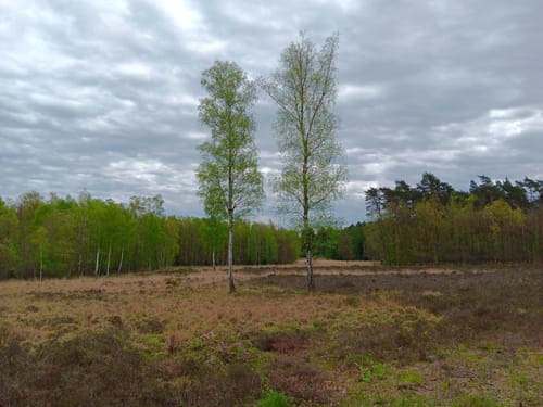 Ohligser Heide: Engelsberger Hof - Drei-Insel-Teich