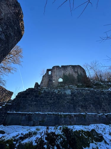Von Tierheim zum Hohenschramberg