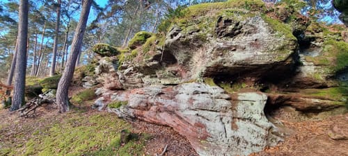 Rothenberg-Weg (Premiumwanderweg)