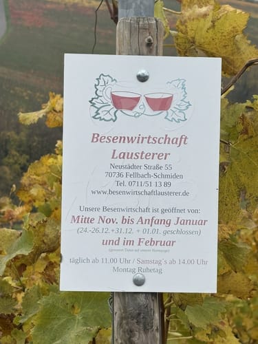 Von Obertürkheim über die Weinberge