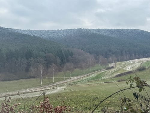 Carlsberg und Altleiningen Rundweg
