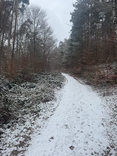 Carlsberg und Altleiningen Rundweg