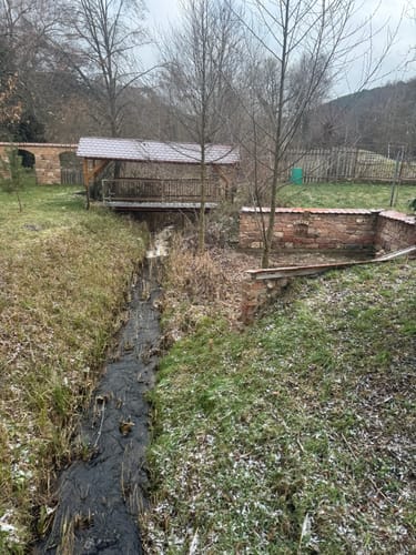 Carlsberg und Altleiningen Rundweg