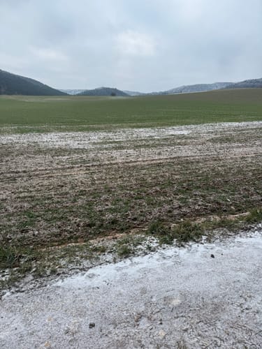 Carlsberg und Altleiningen Rundweg