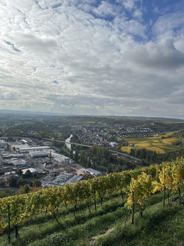 Von Bingen entlang der Nahe auf den Scharlachkopf