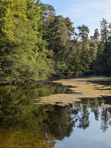 Donoper Teiche im Teutoburger Wald
