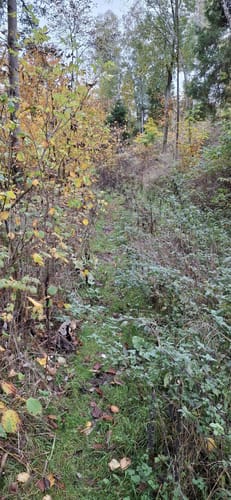 Diemeltal zwischen Helminghausen und Padberg