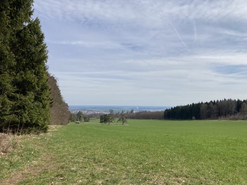 Von Altsteußlingen zum Blauen Steinbruch