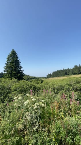 Höhenrundweg (Premiumwanderweg)