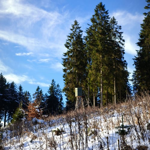 Kahler-Asten-Steig (Premiumwanderweg)