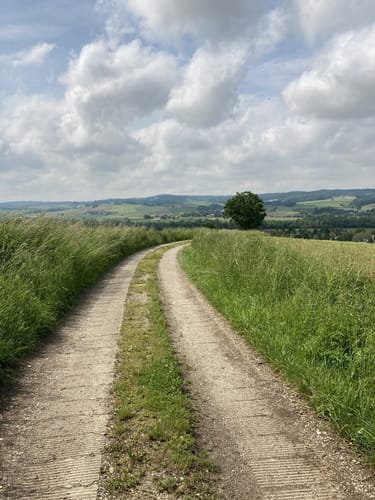 Lengham - Churfürst - Thal