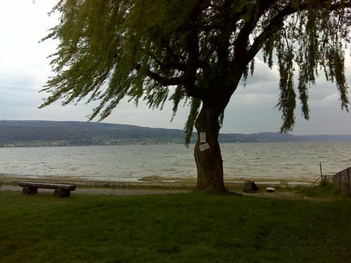 Reichenau Rundweg
