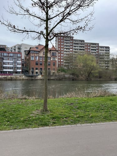 Naturschutzgebiet "Rabeninsel und Saaleaue bei Böllberg" ab Halle