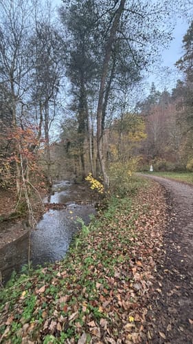 Bebenhausen - Goldersbachtal - Wildgehege