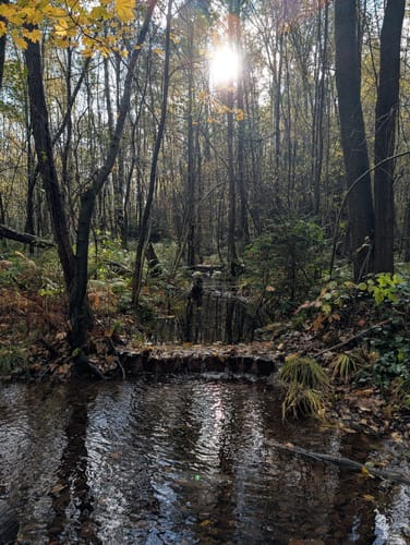 Ohligser Heide Rundweg