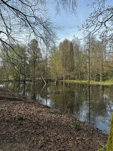 Durch den Rombergpark