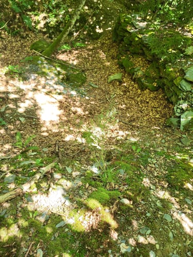 Westwall und Historischer Wanderweg Simonskall