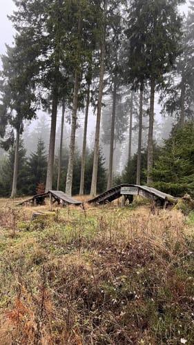 Auf den Großen Feldberg
