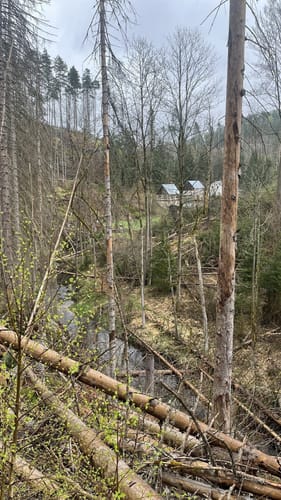 Hinterhermsdorf - Fluss Kirnitzsch mit Kahnfahrt Grenzwanderung