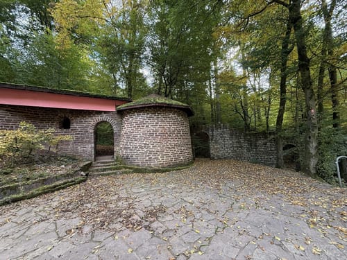 Waldzeit (Traumschleife)