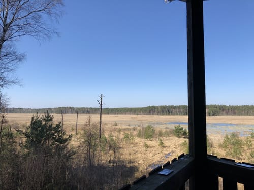 Am Grünewalder Lauch