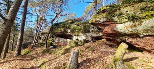 Rothenberg-Weg (Premiumwanderweg)