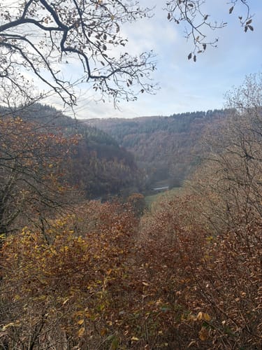 Laubachtal Rundwanderung