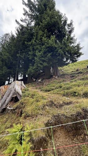 Ofterschwanger Horn