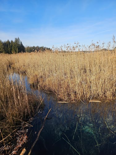 Großer Ostersee-Rundweg