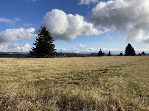 Hochrhöntour (Extratour)