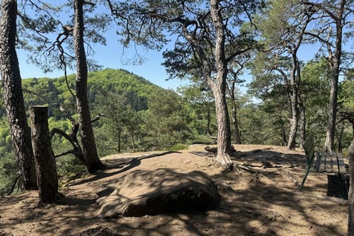 Busenberger Holzschuhpfad (Premiumwanderweg)