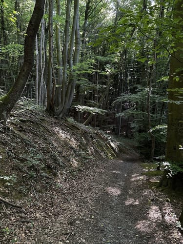 Von Unkel nach Erpel