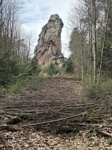 Richard-Löwenherz-Weg (Premiumwanderweg)