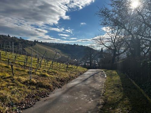 Von Obertürkheim über die Weinberge