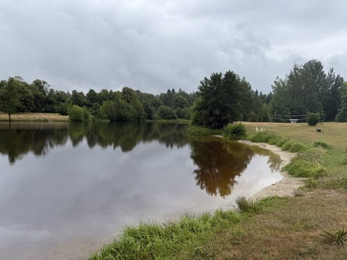 Im Tharandter Wald bis Grillenburg
