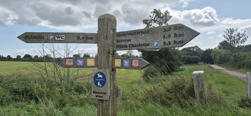 Rund um die Geltinger Birk